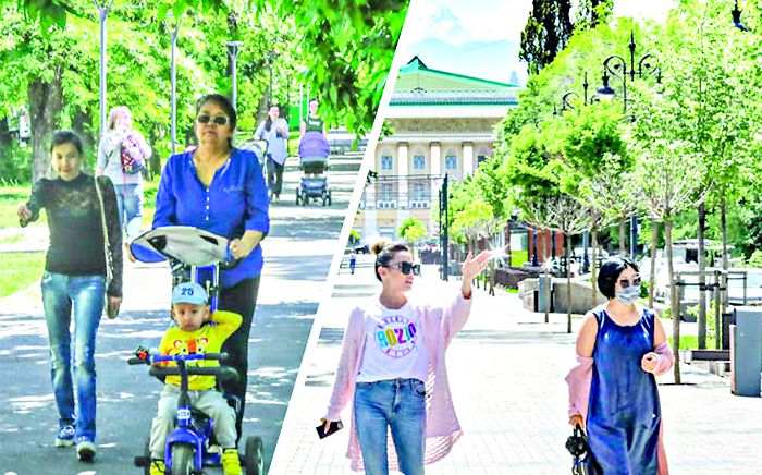 Салғырттық сан соқтырмасын