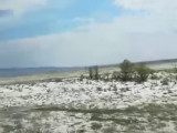 Шығыс Қазақстанның бір ауданында қар жауды (видео)
