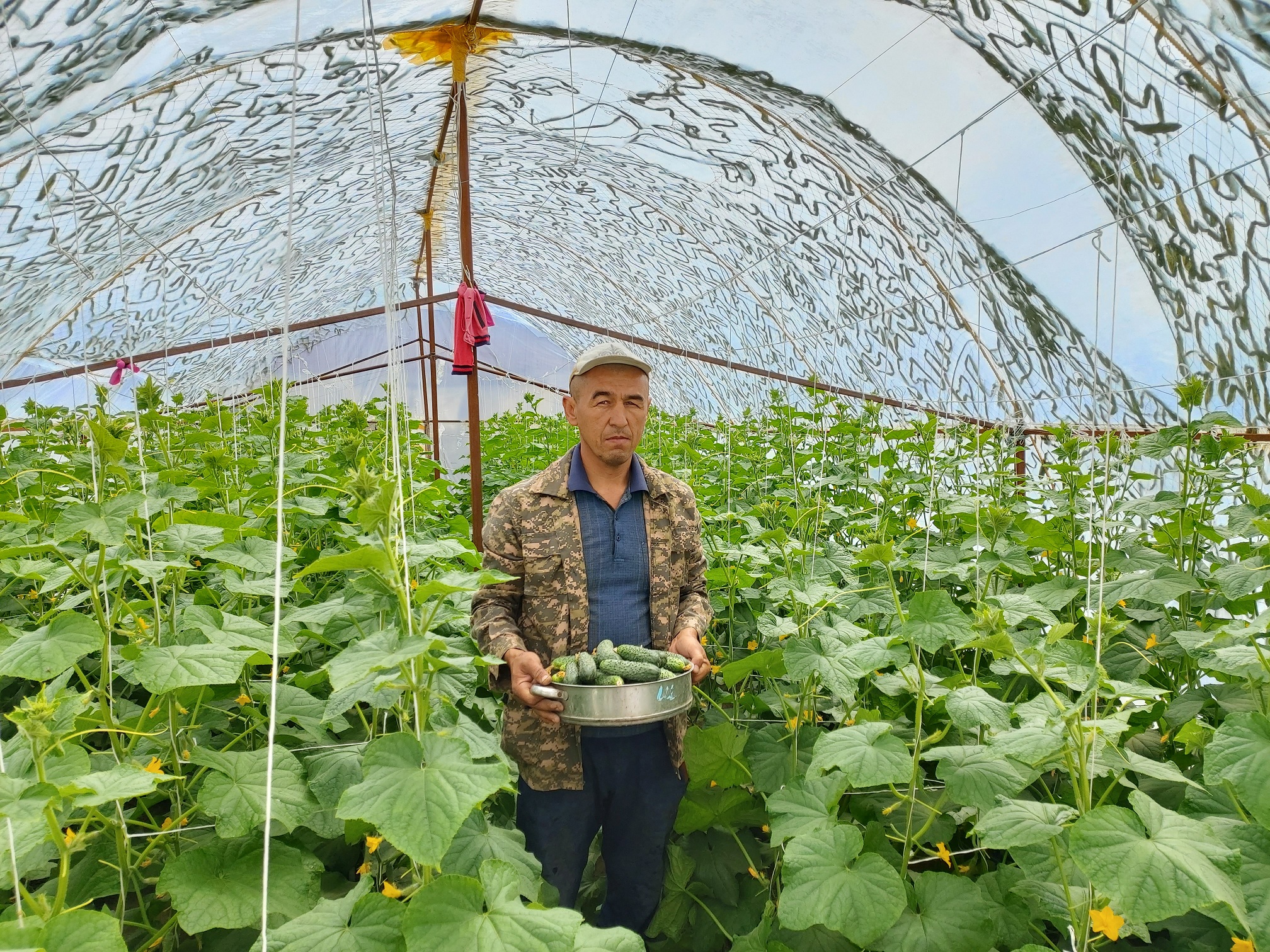 Бес баланың әкесі екі жылыжай ашты