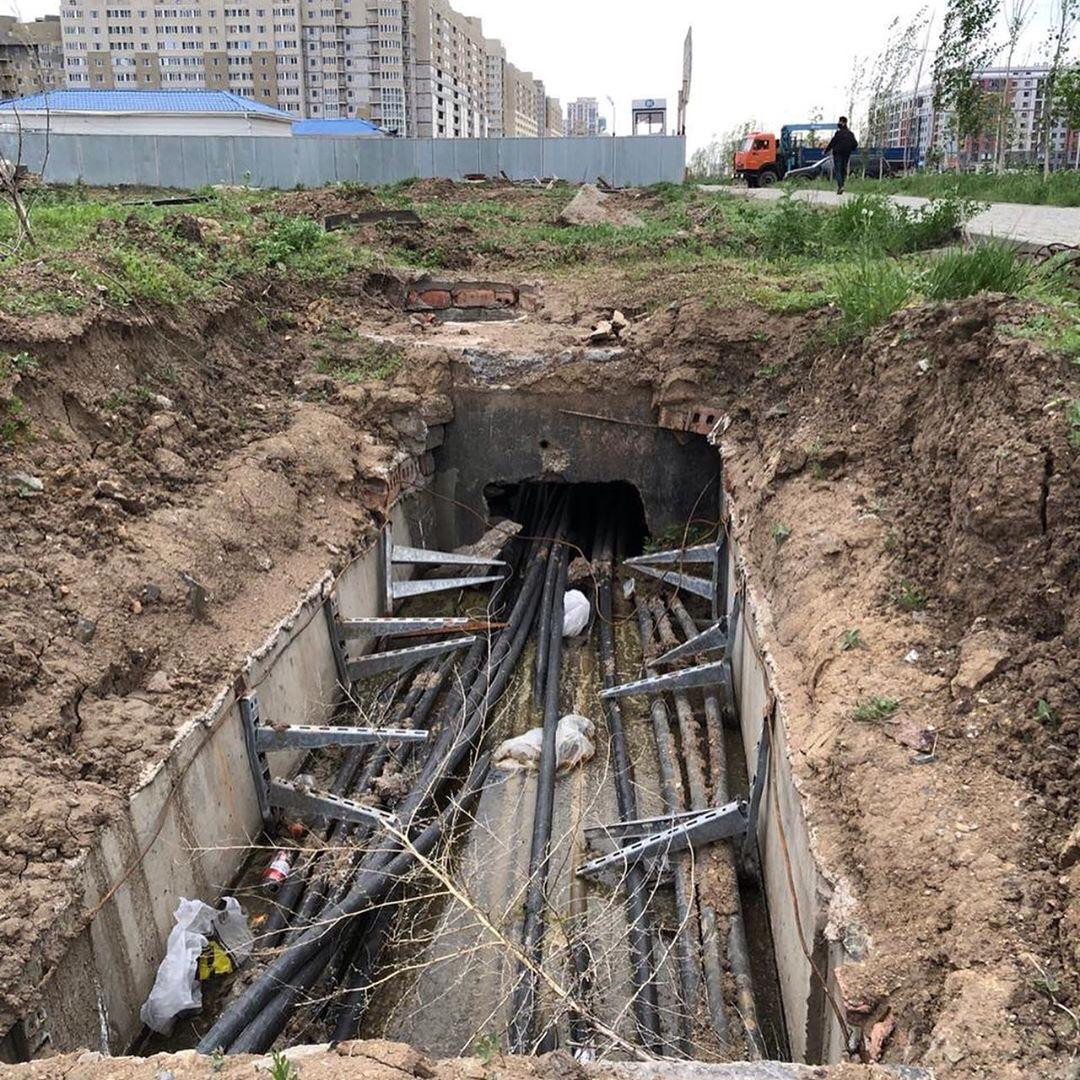 Елордада 500-ге жуық иесіз желі қаланың балансына алынды – Алтай Көлгінов