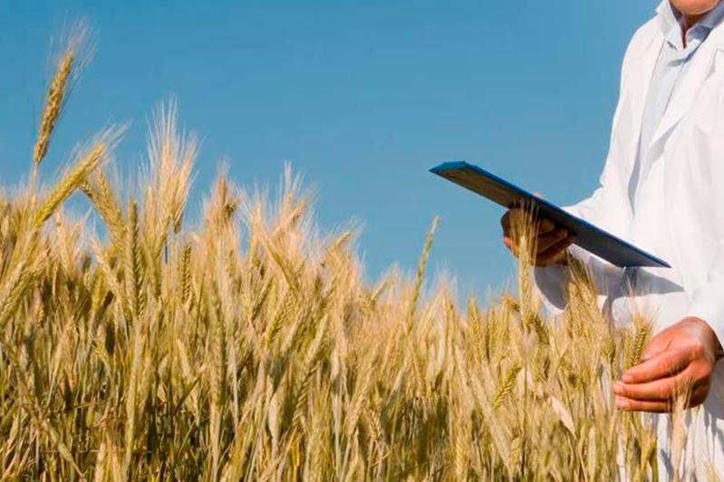 Шаруалар неге шаршап жүр?