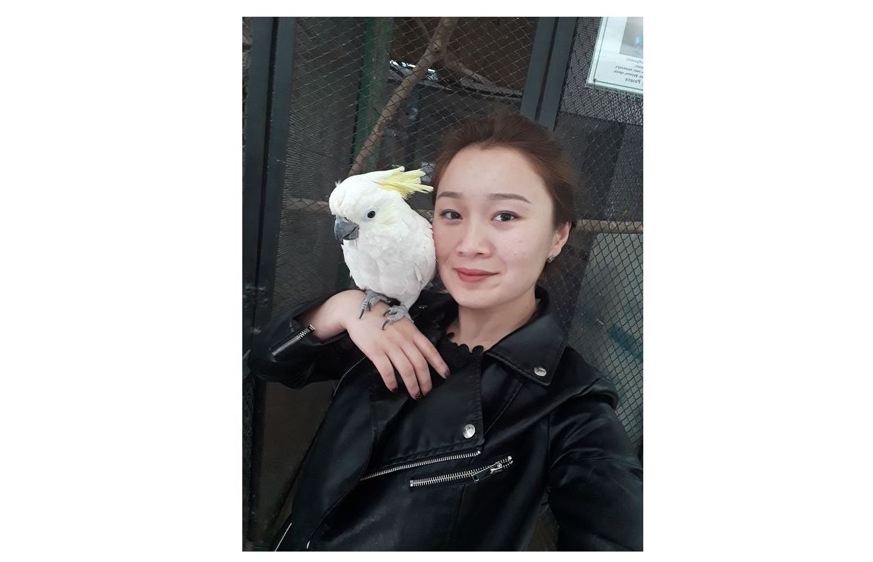 Тордағы тотықұсқа тіл бітірген