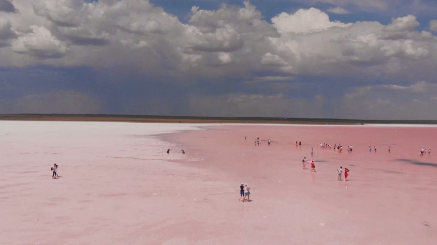Көбейтұздағы келеңсіз көрініс экологиялық сананы тәрбиелеу қажеттігін көрсетті