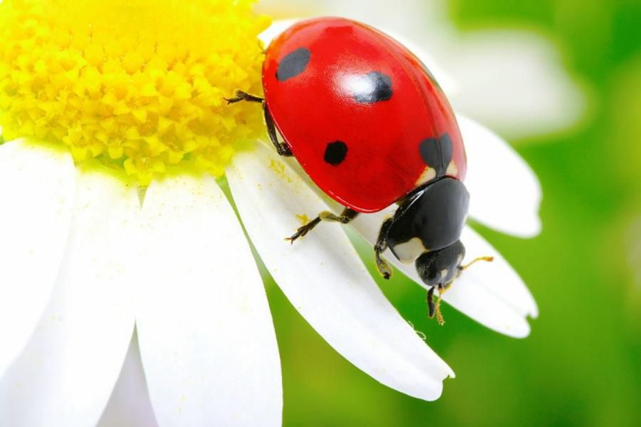 Тамызда күн райы қандай болмақ?