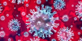 COVID-19 адамнан итке жұққан