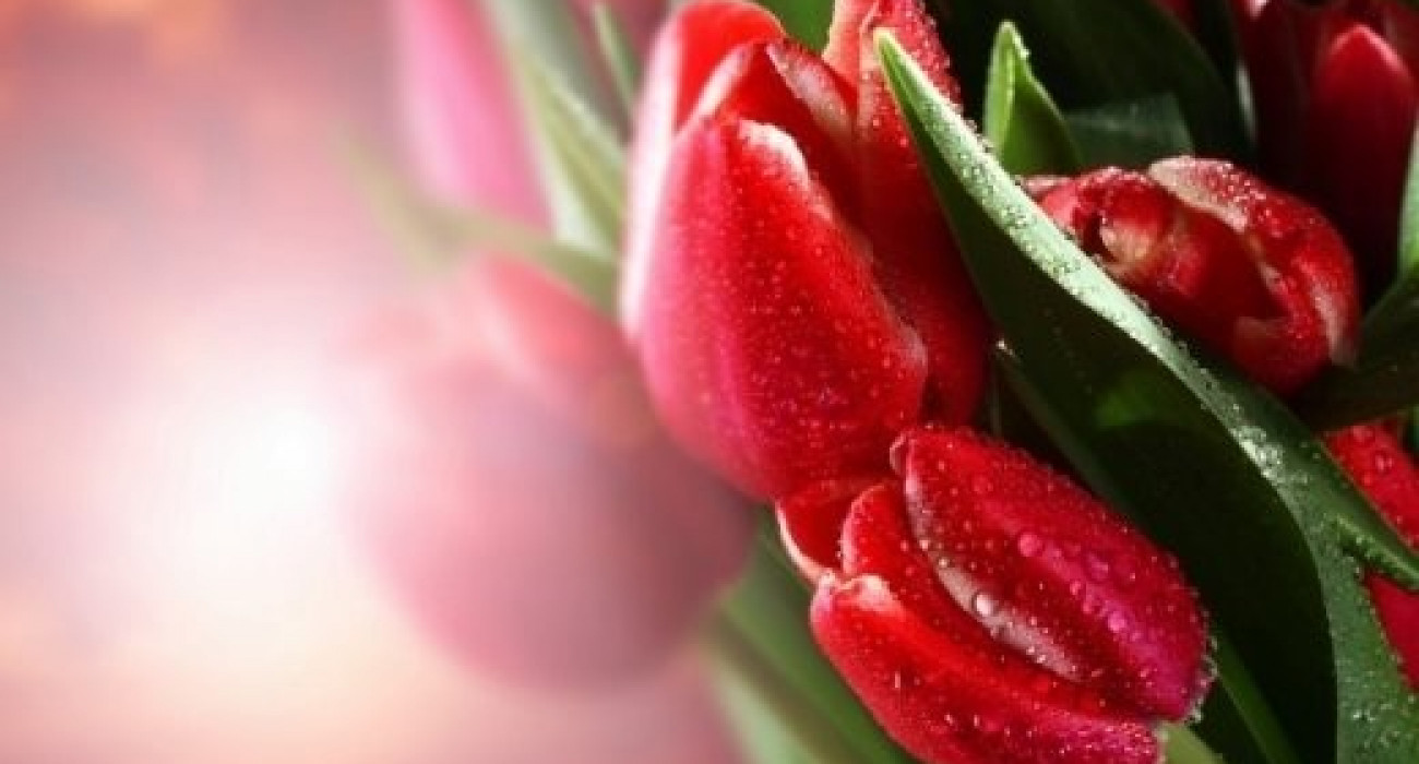 Жан жегіштерден секс Медуза Порнографиялық ресейлік атақты адамдардың суреттері