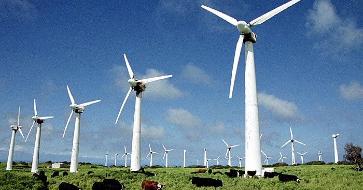 Мен бір жігіттің аузына түстім