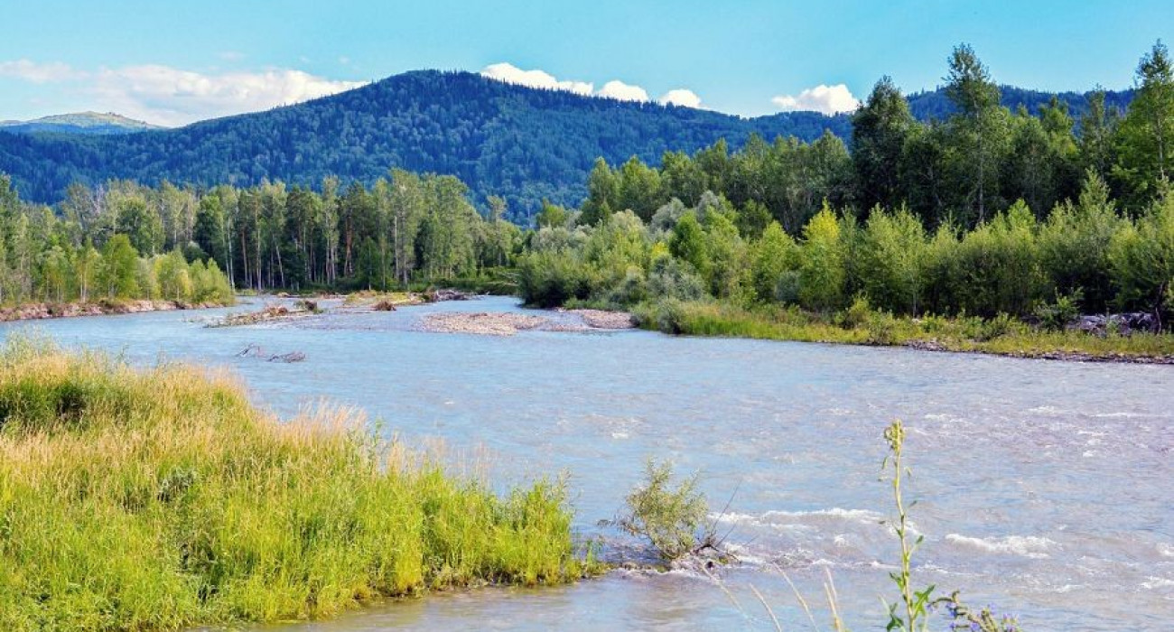 Соққысы бар жеке порно видео