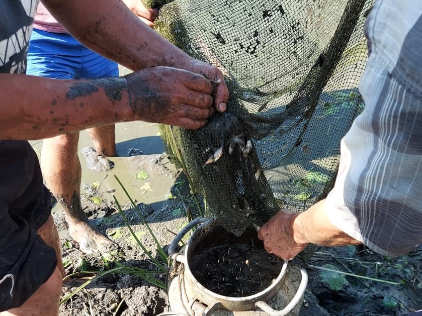 Атыраулықтар 3 млн шабақты құтқарды