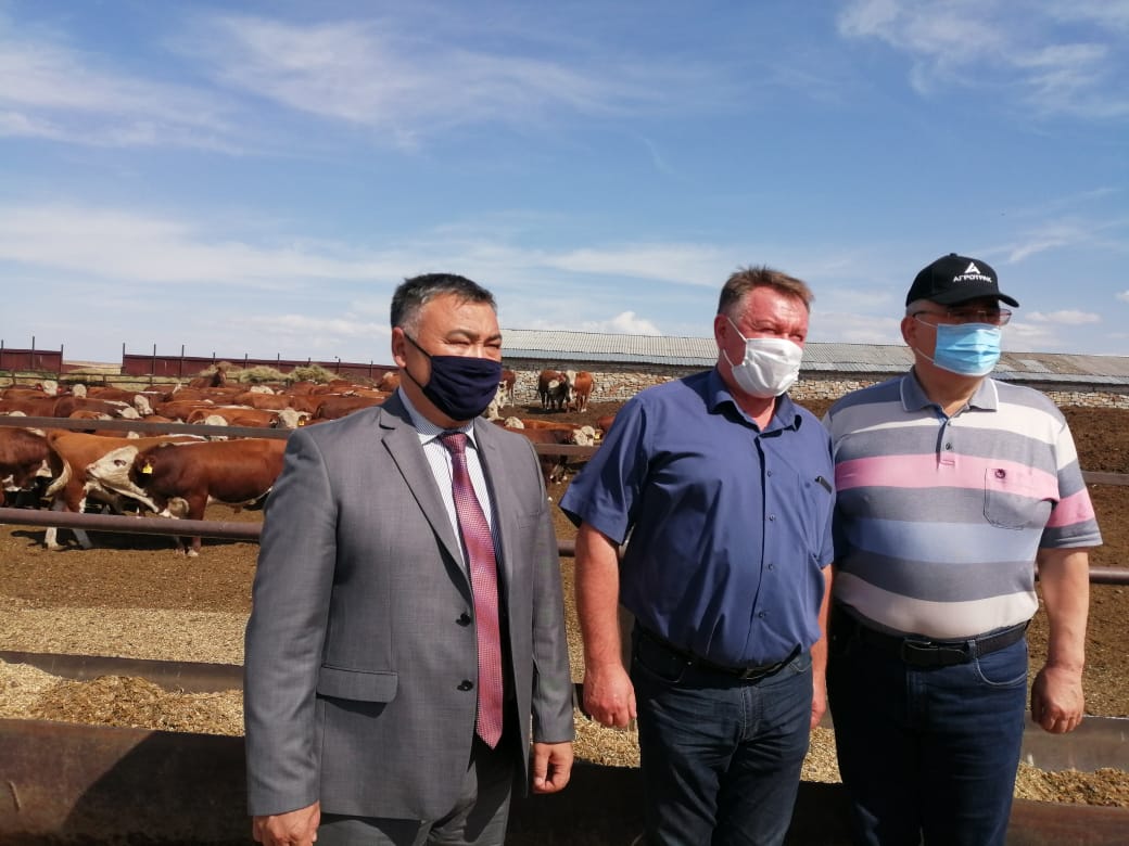 Шығыс Қазақстанның фермерлері сенаторға мал шаруашылығындағы проблемалар туралы айтып берді