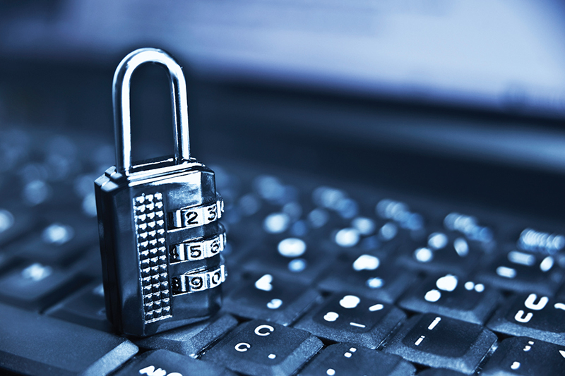 Киберқауіпсіздік саласында білікті мамандардың рөлі қандай?