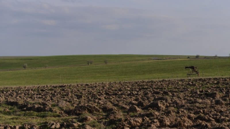 Ордабасыда игерілмеген 2300,2 гектар жер мемлекеттің жер қорына қайтарылды