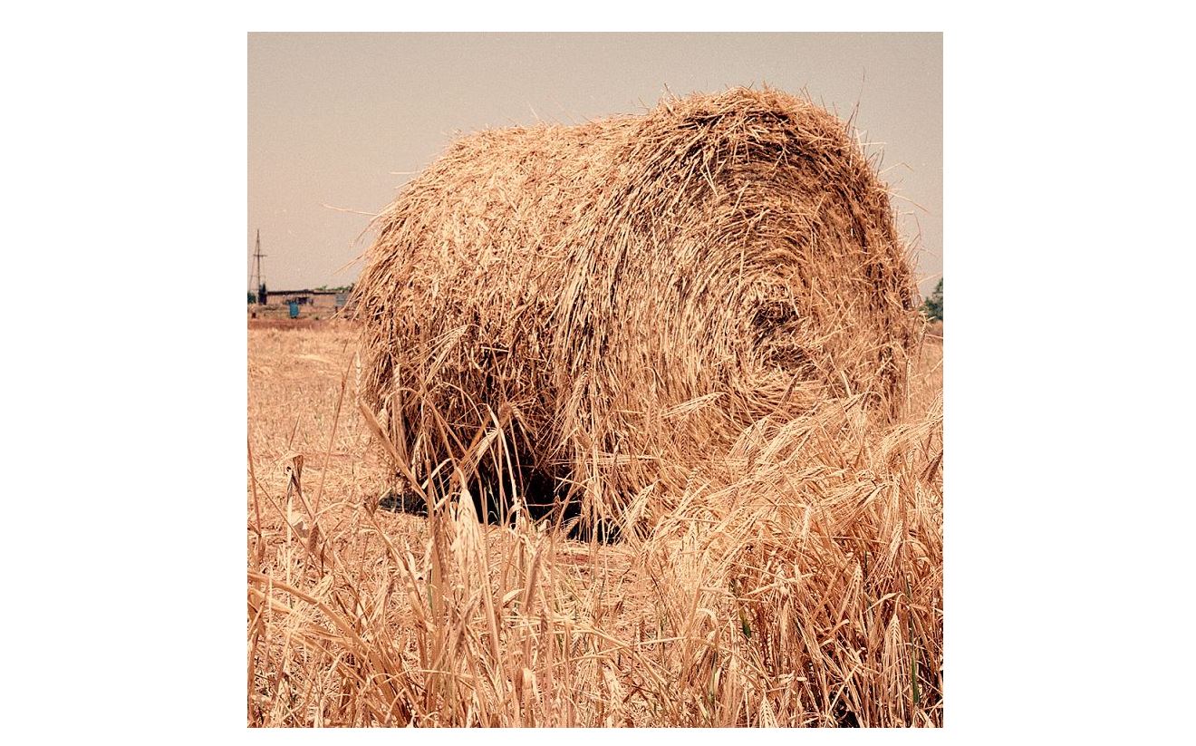 Мал азығы жеткілікті