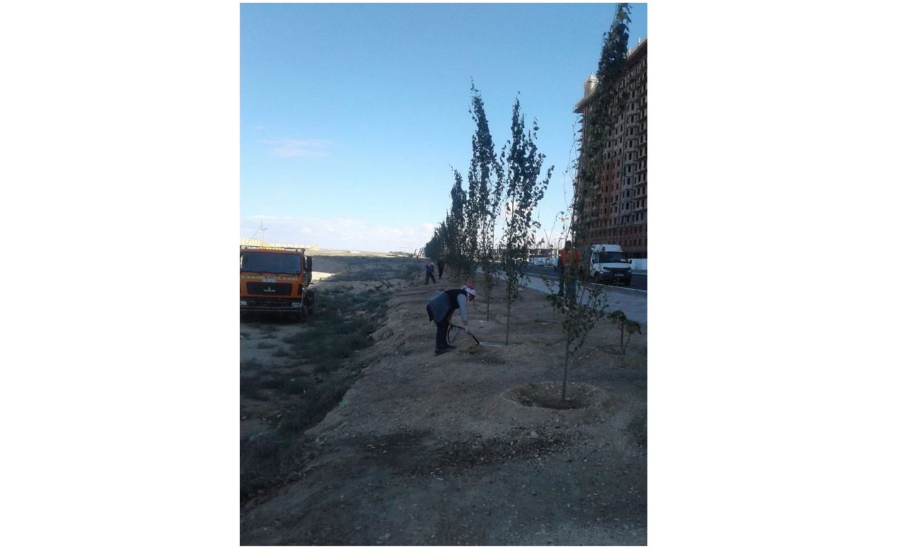 Жасыл желекті «жақтырмайтын» Ақтау