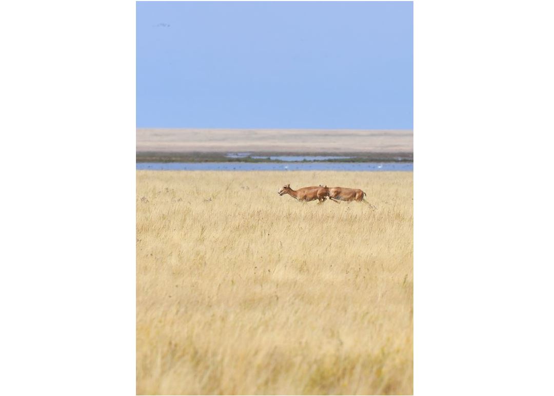 Табиғатты қорғай білу – өркениеттілік белгісі