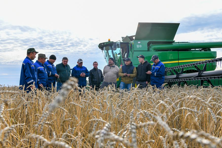 Шығыстың астығы шетелге экспортталады