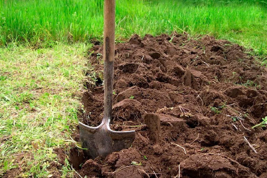 Тозған жерде толымды табыс болмайды