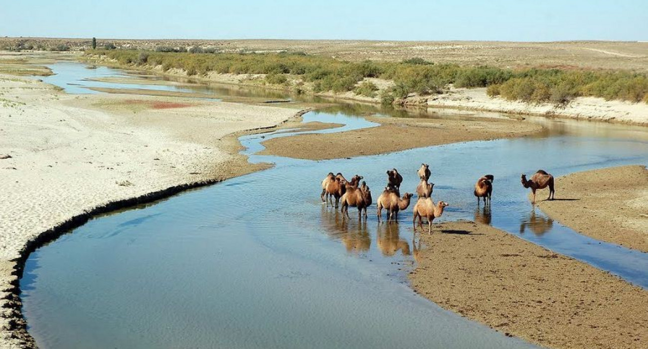 Қыздар көп сперма Омбылық порно жұлдыз Маша