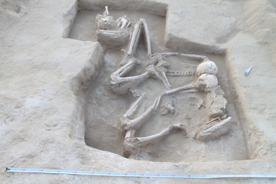 Нәпсіқұмар ана ғаламторда баласының жұлын сорды