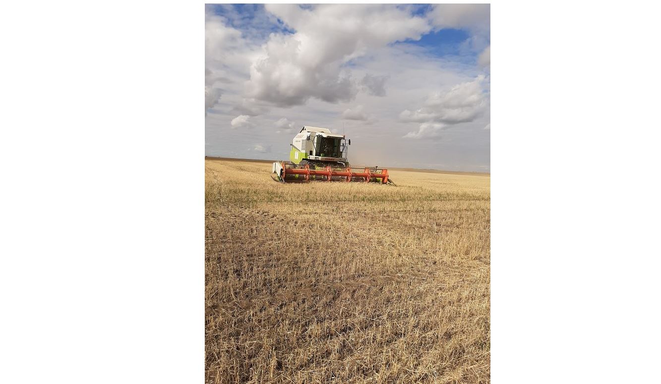 Алтын астықты ауылдар