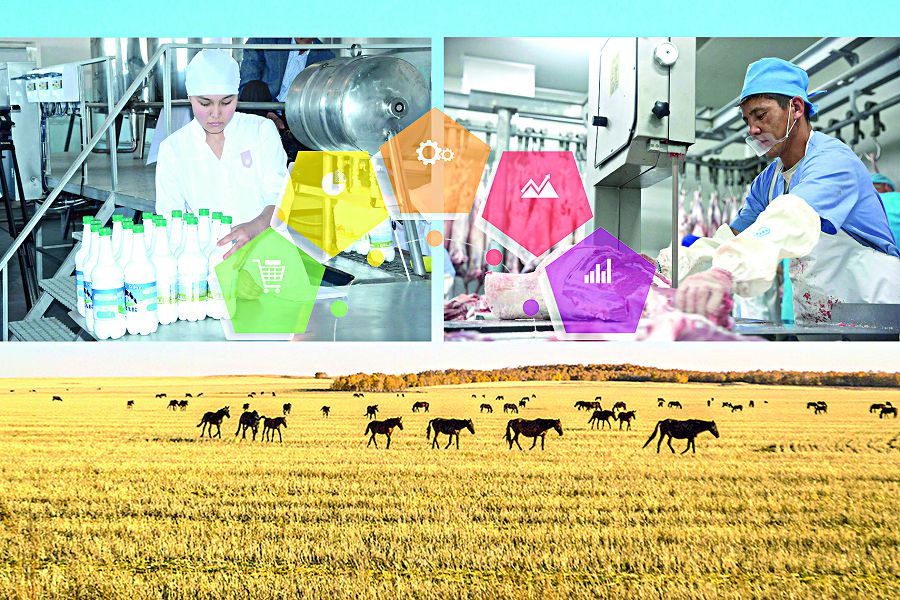 Ел экономикасына серпін беретін ұлттық жоба