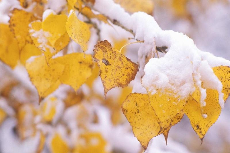 Бірнеше облыста ауа райына байланысты ескерту жасалды