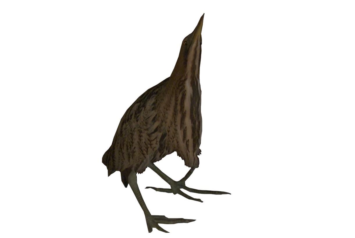 Адасқан әупілдек