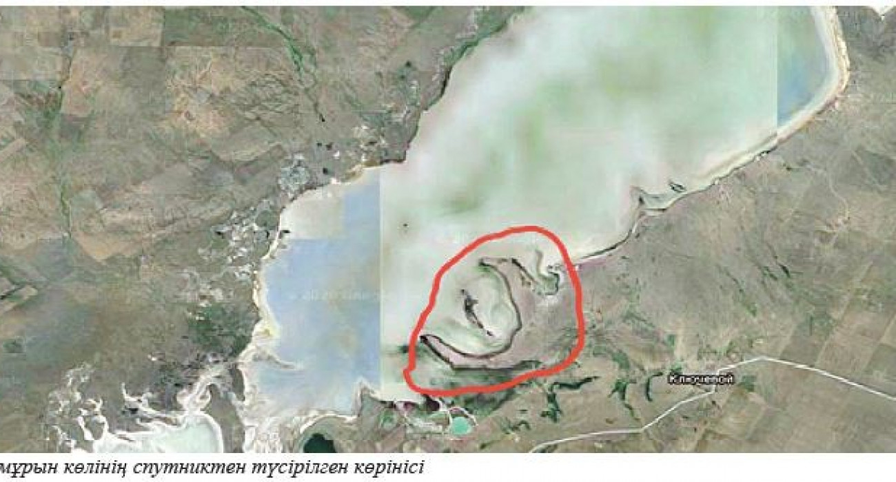 Сексуалды леггинстер