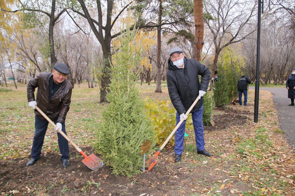 Кәсіподақ ұйымдары кәсіби мерекелеріне орай ағаш отырғызды