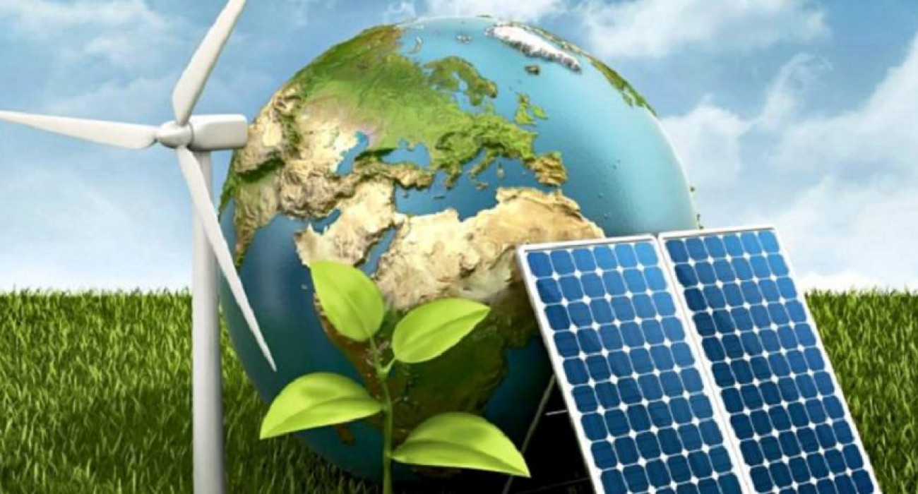 Тоған жағасындағы жалаңаш есек видео