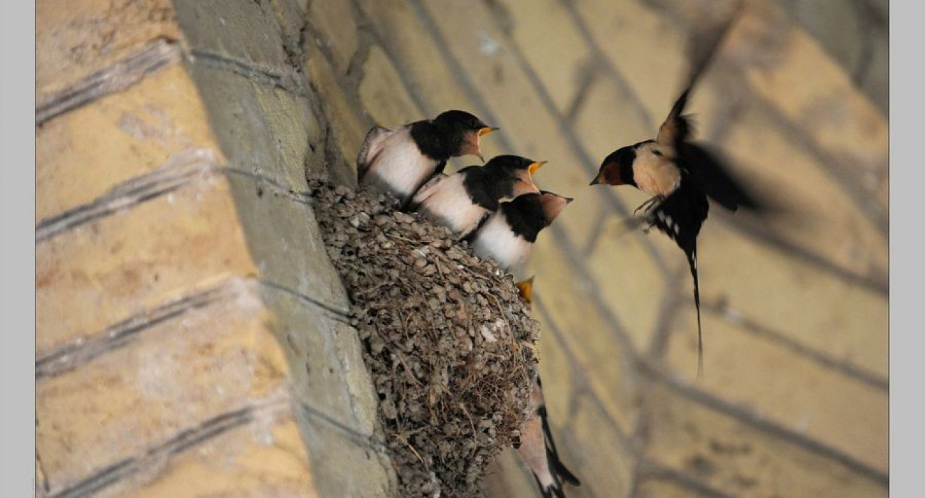 Терең жұлдыру курстары