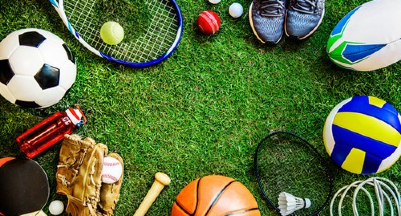 Бұл спорт шалбарындағы есек