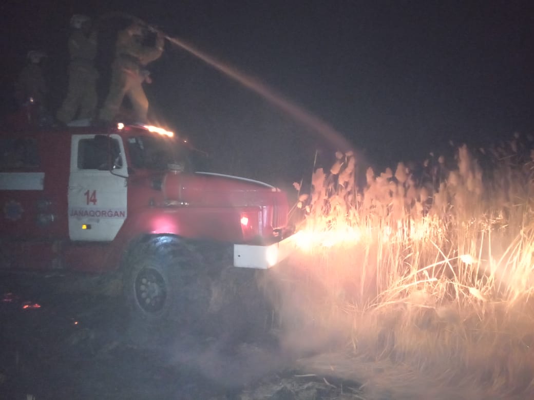 Даладағы өртте 700 бас қой жанып кетті