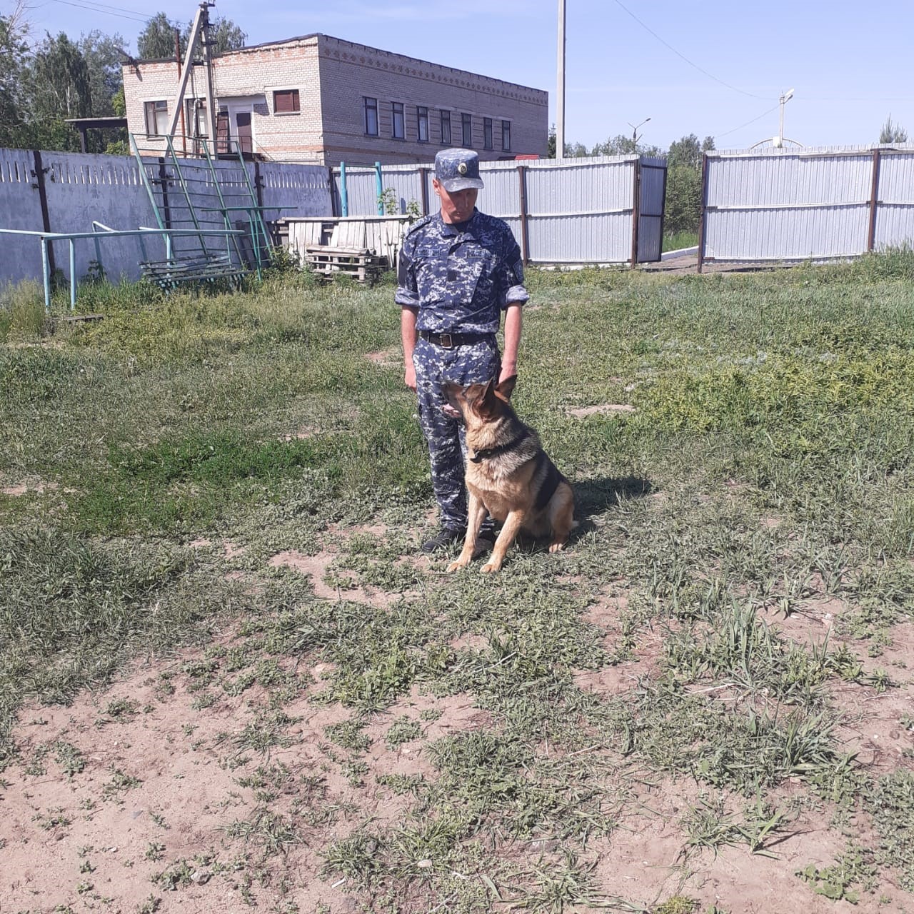 Қызметтік иттер 4 адам өлтіруді ашуға көмектесті