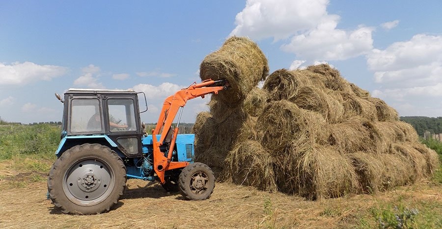 Мал азығы дайын ба?