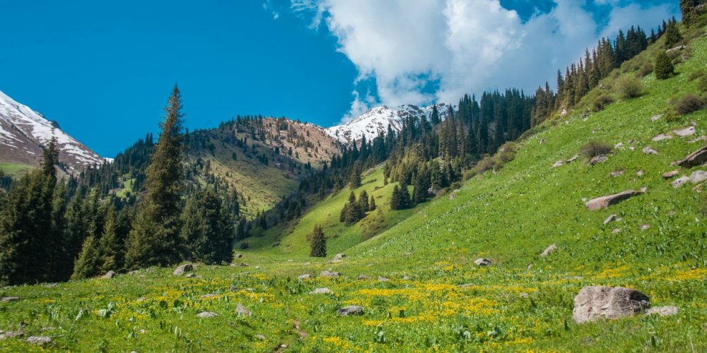 Алматыда квадроциклден құлаған турист қайтыс болды