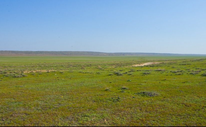 Бос жатқан 665 мың гектар жер анықталды