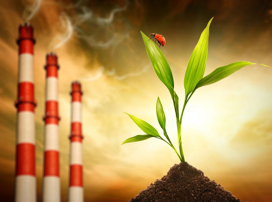 Қоршаған ортаны қорғау заңнамалары қаралды