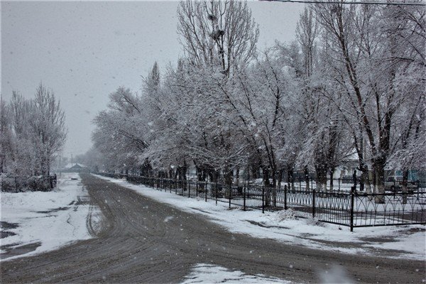 Қысқа мұқият дайындық жасалуда