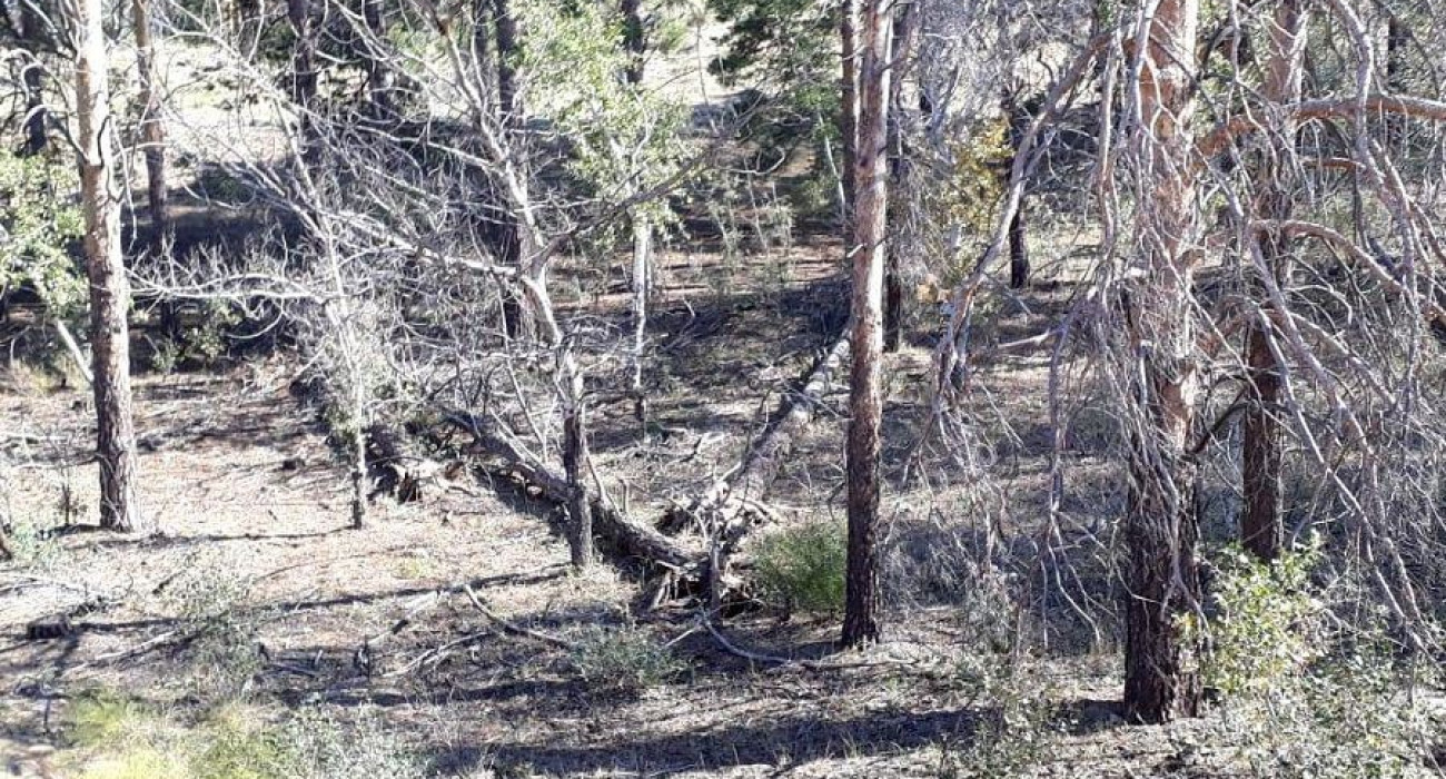 Олар соруды аяқтайды