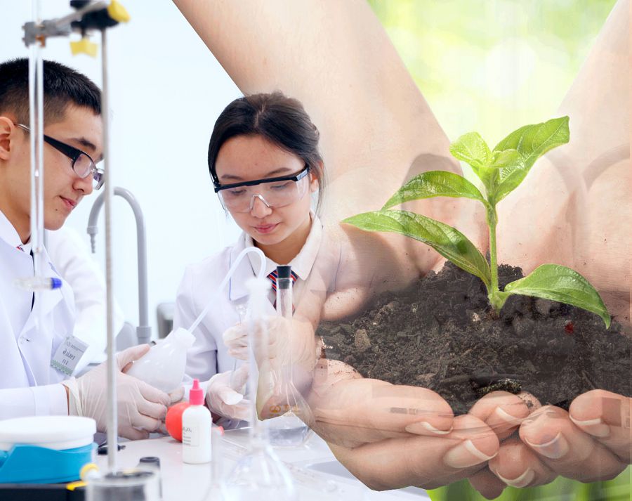 Кәкімжан Сарханов: «Сұранысқа ие өнім шығаратын орта құру керек»