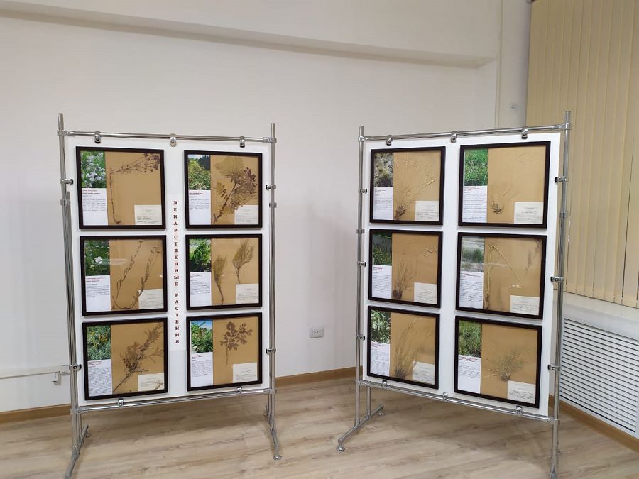 Алматылық журналистер еліміздегі ең бай гербарийге барды