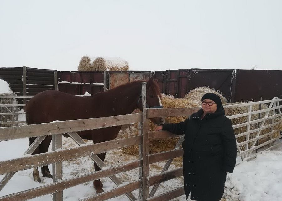 «Әділжан» – әлеуетті шаруашылық