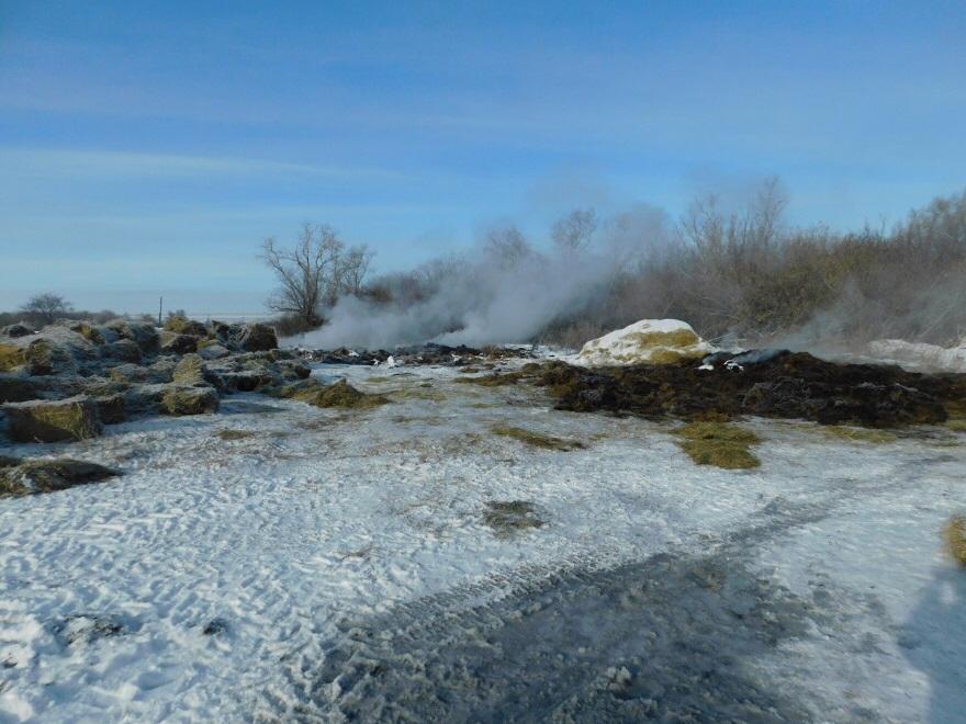 СҚО-да біреудің жинаған шөбін өртегендер ұсталды