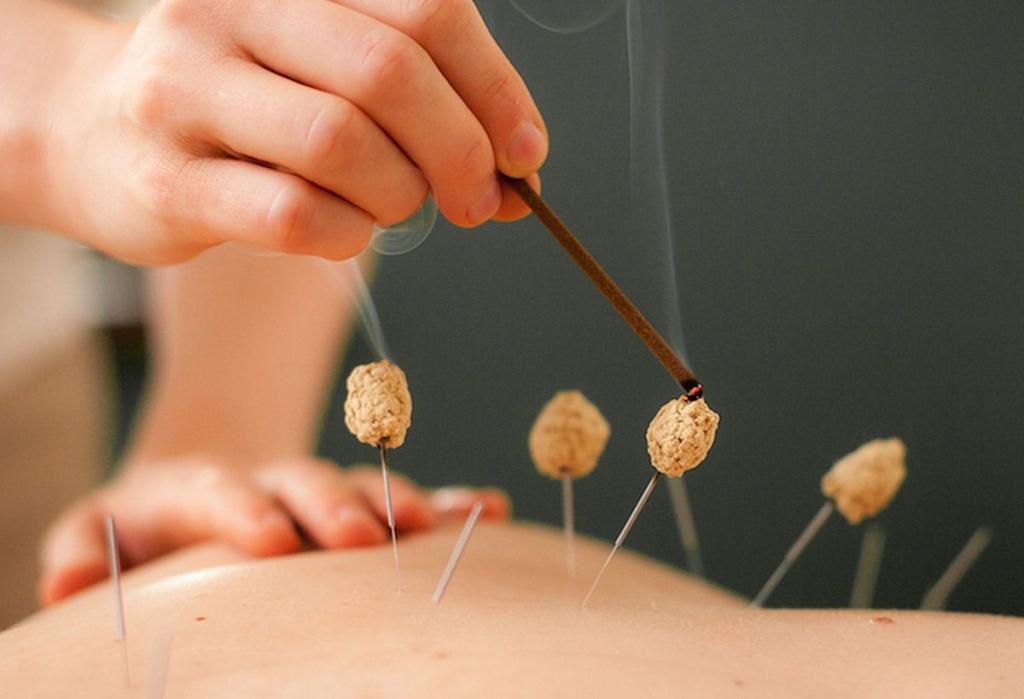 Дәстүрлі Қытай медицинасының құпиялары