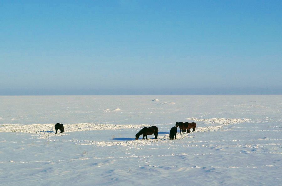 Малыңа абай бол, ағайын!
