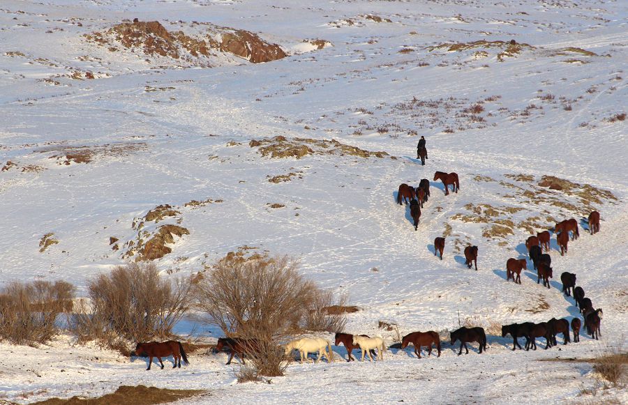 Ауылдың көркі – азаматынан