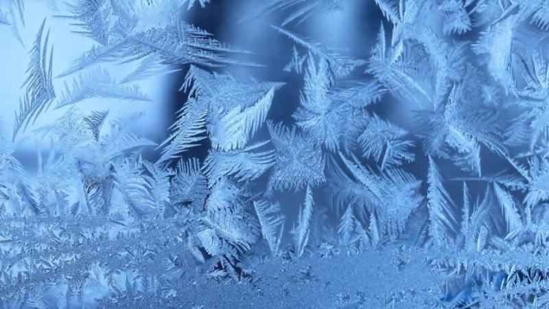 Қыстың бірінші күні үсіп қалған