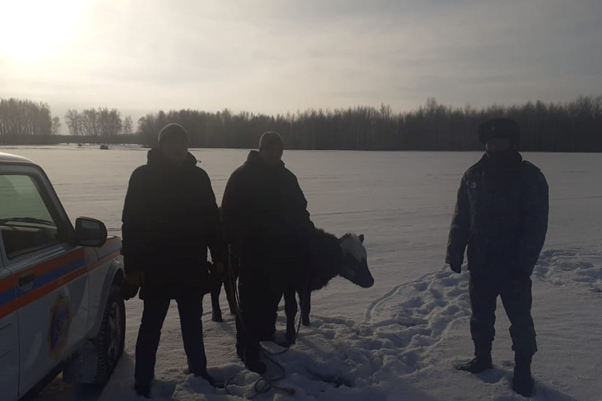 СҚО-да жолдан адасып кеткен тұрғын табылды