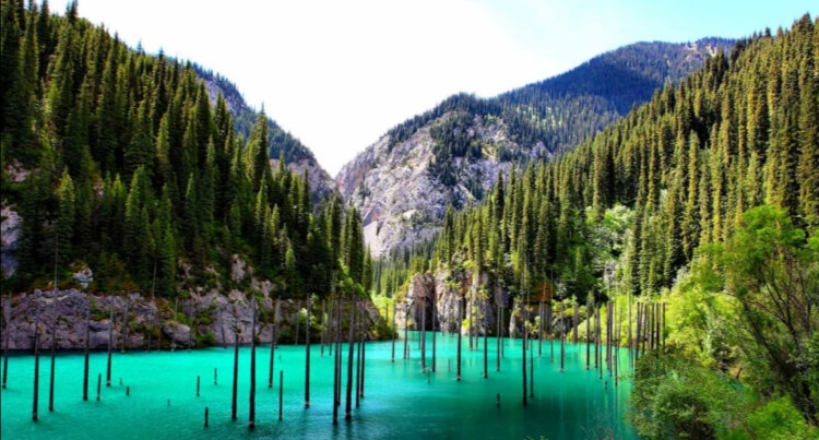 Туристі жоқ ел – табысы жоқ ел